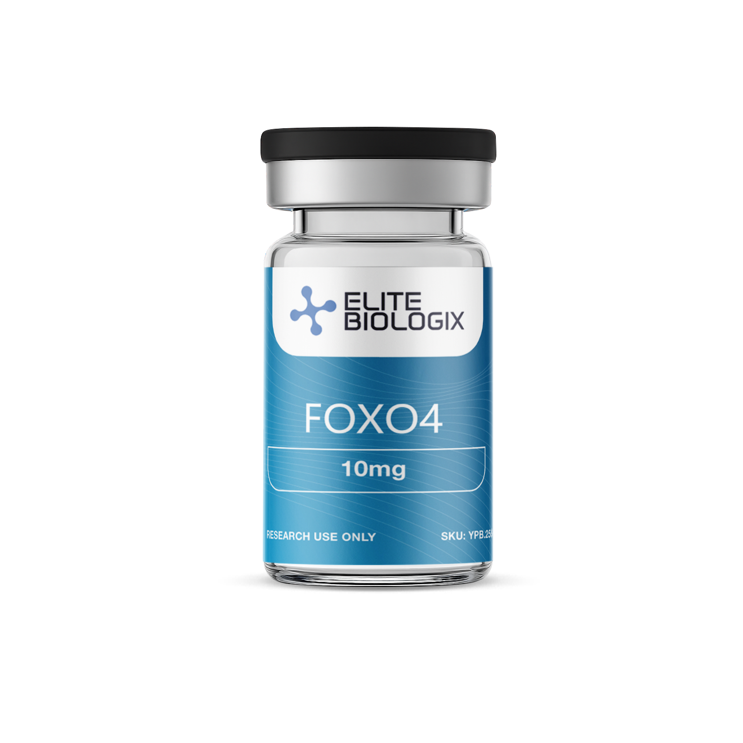 FOXO4 (10mg)